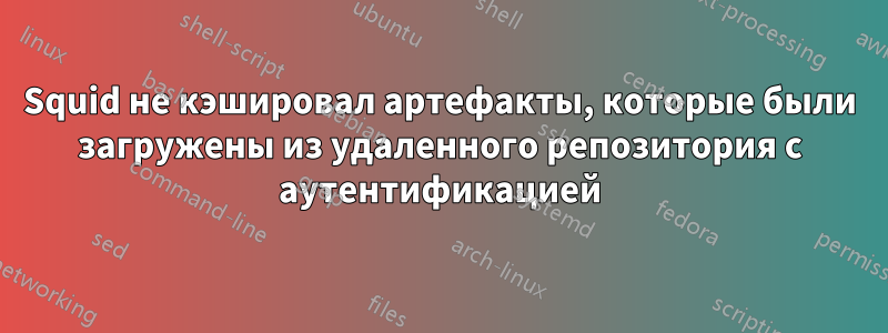 Squid не кэшировал артефакты, которые были загружены из удаленного репозитория с аутентификацией