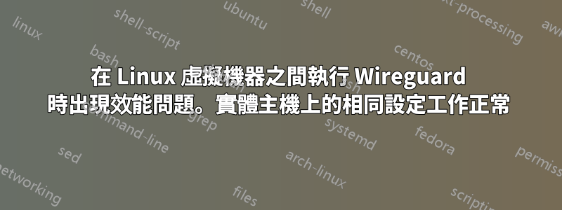 在 Linux 虛擬機器之間執行 Wireguard 時出現效能問題。實體主機上的相同設定工作正常