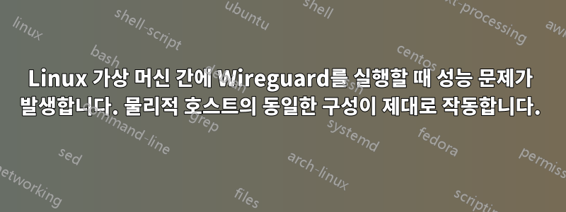 Linux 가상 머신 간에 Wireguard를 실행할 때 성능 문제가 발생합니다. 물리적 호스트의 동일한 구성이 제대로 작동합니다.