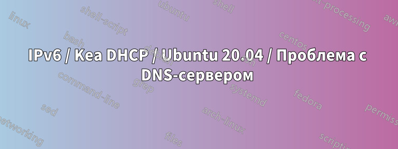 IPv6 / Kea DHCP / Ubuntu 20.04 / Проблема с DNS-сервером