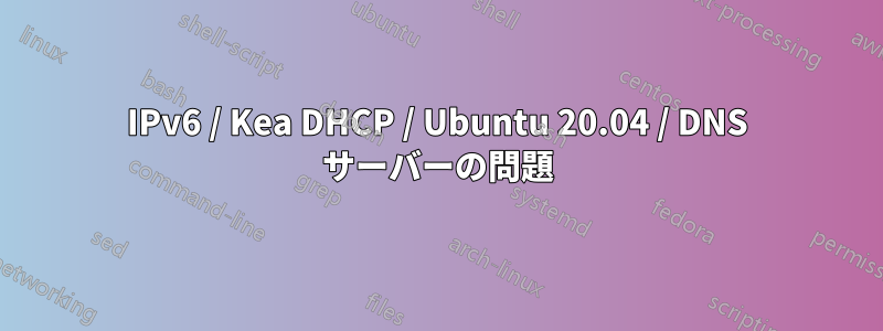 IPv6 / Kea DHCP / Ubuntu 20.04 / DNS サーバーの問題