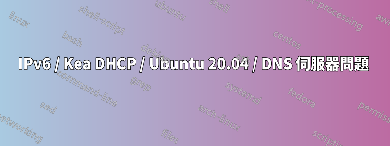 IPv6 / Kea DHCP / Ubuntu 20.04 / DNS 伺服器問題