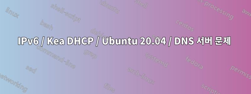 IPv6 / Kea DHCP / Ubuntu 20.04 / DNS 서버 문제