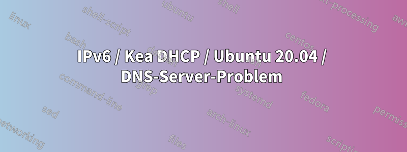 IPv6 / Kea DHCP / Ubuntu 20.04 / DNS-Server-Problem