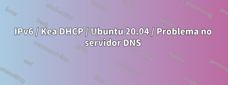IPv6 / Kea DHCP / Ubuntu 20.04 / Problema no servidor DNS