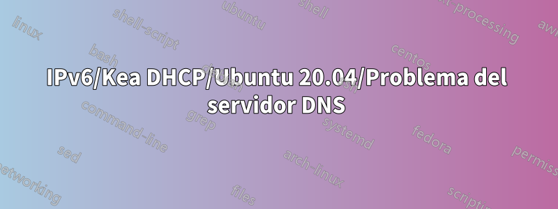 IPv6/Kea DHCP/Ubuntu 20.04/Problema del servidor DNS