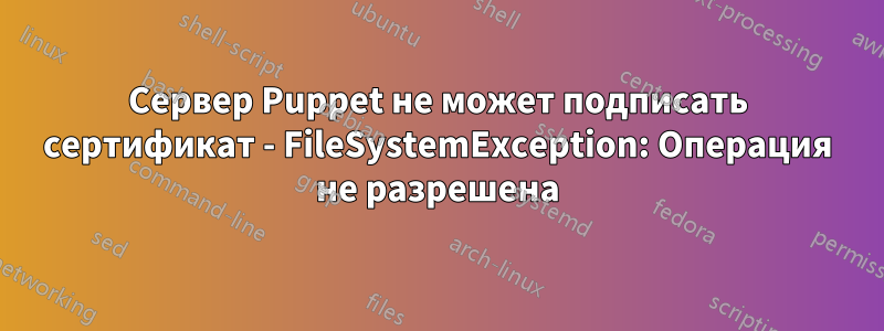Сервер Puppet не может подписать сертификат - FileSystemException: Операция не разрешена
