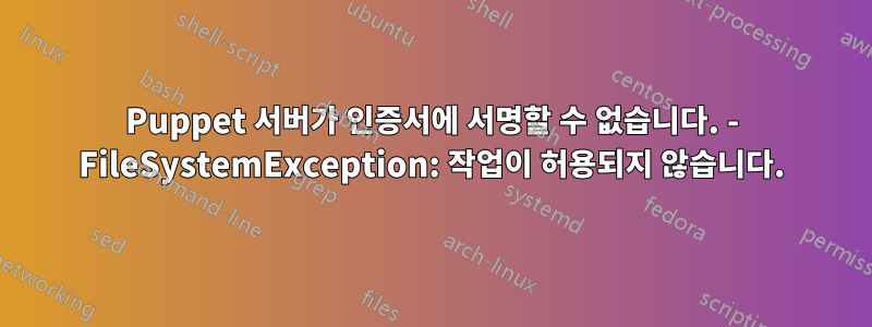 Puppet 서버가 인증서에 서명할 수 없습니다. - FileSystemException: 작업이 허용되지 않습니다.