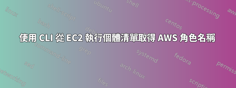 使用 CLI 從 EC2 執行個體清單取得 AWS 角色名稱