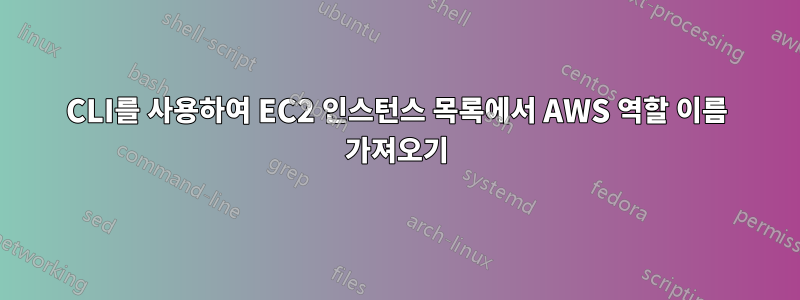 CLI를 사용하여 EC2 인스턴스 목록에서 AWS 역할 이름 가져오기
