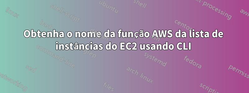 Obtenha o nome da função AWS da lista de instâncias do EC2 usando CLI