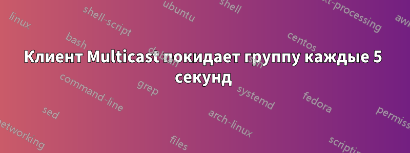 Клиент Multicast покидает группу каждые 5 секунд