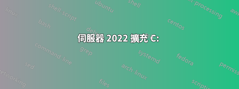 伺服器 2022 擴充 C: