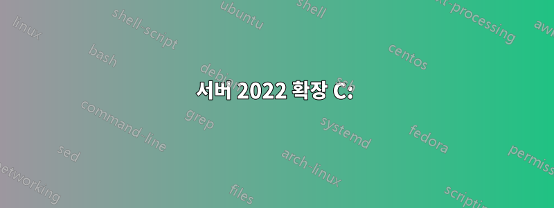 서버 2022 확장 C: