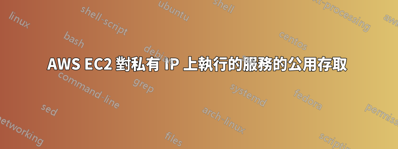 AWS EC2 對私有 IP 上執行的服務的公用存取