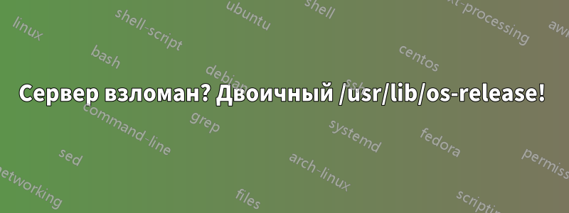 Сервер взломан? Двоичный /usr/lib/os-release!