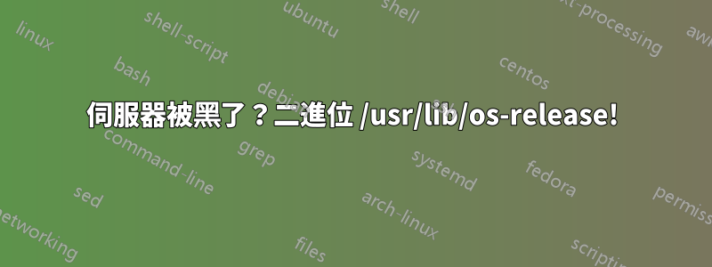 伺服器被黑了？二進位 /usr/lib/os-release!