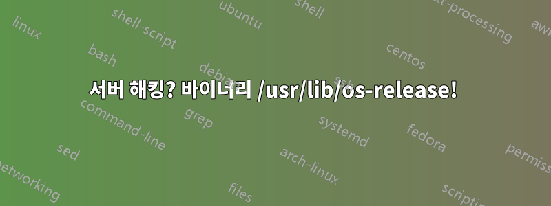 서버 해킹? 바이너리 /usr/lib/os-release!
