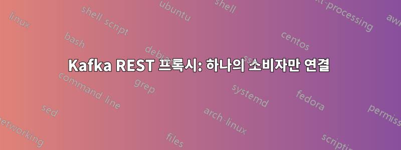 Kafka REST 프록시: 하나의 소비자만 연결