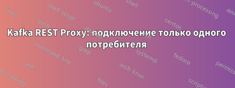 Kafka REST Proxy: подключение только одного потребителя