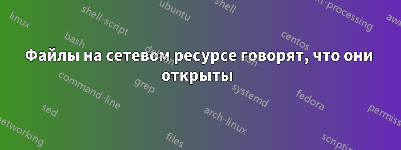 Файлы на сетевом ресурсе говорят, что они открыты 