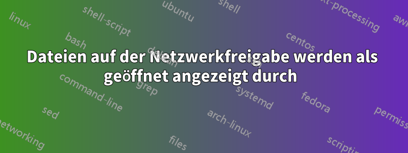 Dateien auf der Netzwerkfreigabe werden als geöffnet angezeigt durch 