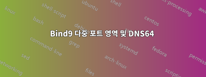 Bind9 다중 포트 영역 및 DNS64