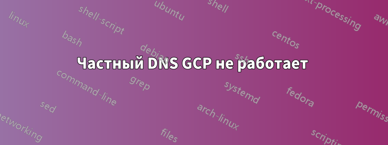 Частный DNS GCP не работает