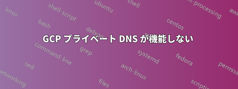 GCP プライベート DNS が機能しない