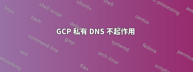 GCP 私有 DNS 不起作用