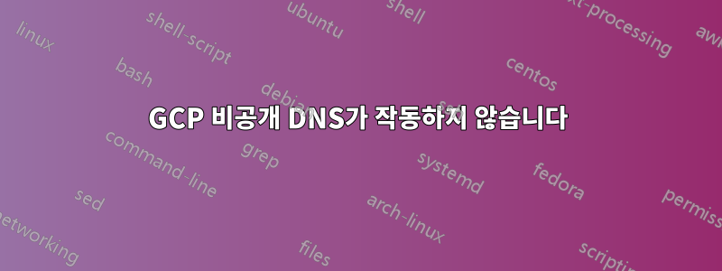 GCP 비공개 DNS가 작동하지 않습니다