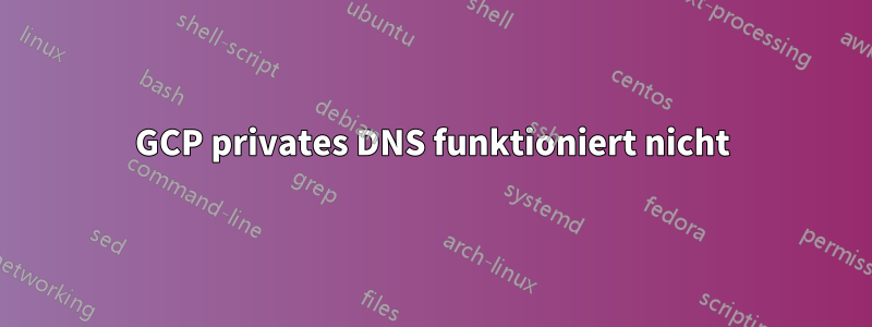GCP privates DNS funktioniert nicht
