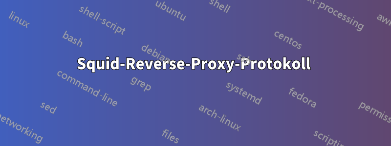 Squid-Reverse-Proxy-Protokoll