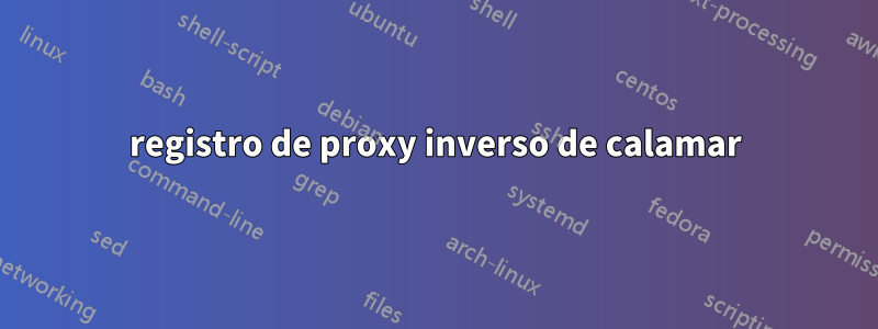 registro de proxy inverso de calamar
