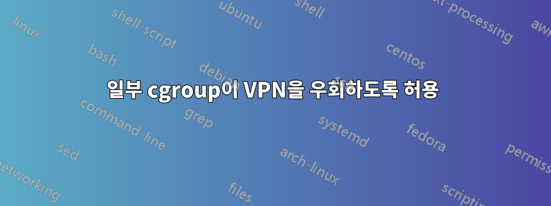 일부 cgroup이 VPN을 우회하도록 허용
