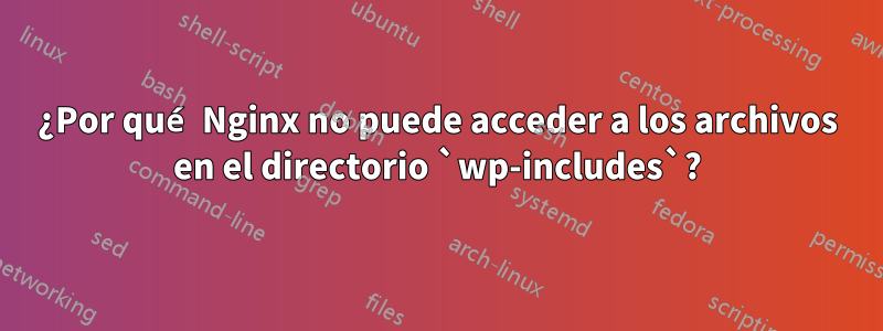 ¿Por qué Nginx no puede acceder a los archivos en el directorio `wp-includes`?
