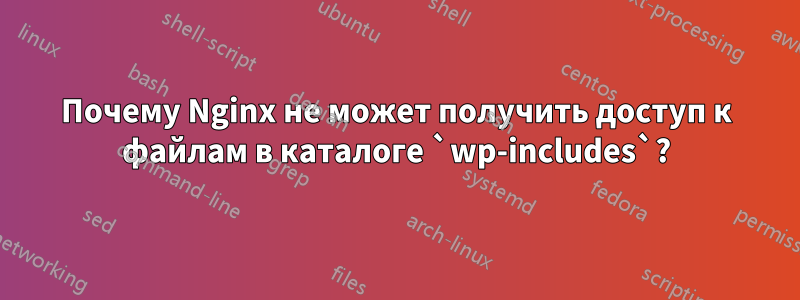 Почему Nginx не может получить доступ к файлам в каталоге `wp-includes`?