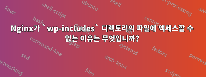 Nginx가 `wp-includes` 디렉토리의 파일에 액세스할 수 없는 이유는 무엇입니까?