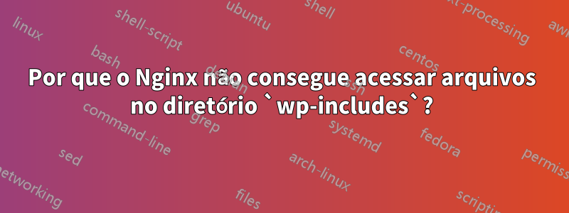 Por que o Nginx não consegue acessar arquivos no diretório `wp-includes`?