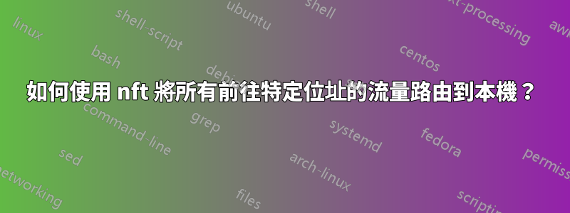 如何使用 nft 將所有前往特定位址的流量路由到本機？