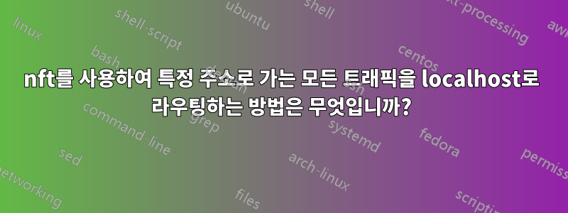 nft를 사용하여 특정 주소로 가는 모든 트래픽을 localhost로 라우팅하는 방법은 무엇입니까?