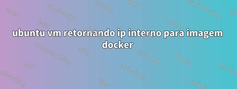 ubuntu vm retornando ip interno para imagem docker