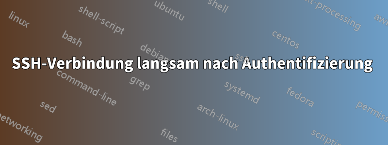 SSH-Verbindung langsam nach Authentifizierung