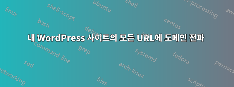 내 WordPress 사이트의 모든 URL에 도메인 전파