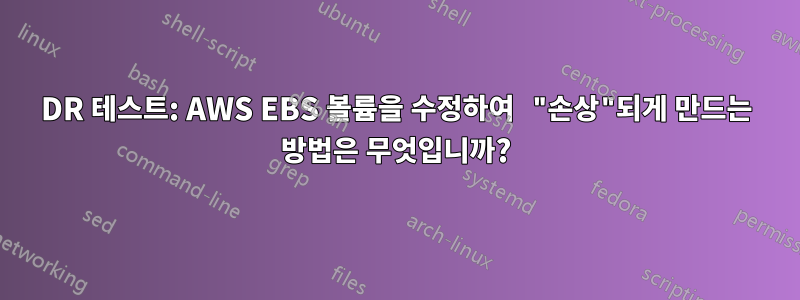 DR 테스트: AWS EBS 볼륨을 수정하여 "손상"되게 만드는 방법은 무엇입니까?