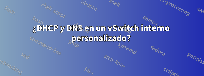 ¿DHCP y DNS en un vSwitch interno personalizado?