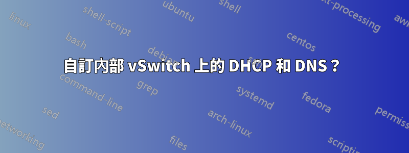 自訂內部 vSwitch 上的 DHCP 和 DNS？