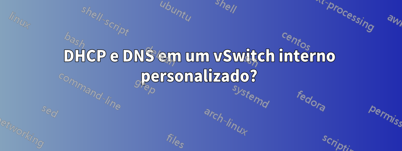 DHCP e DNS em um vSwitch interno personalizado?