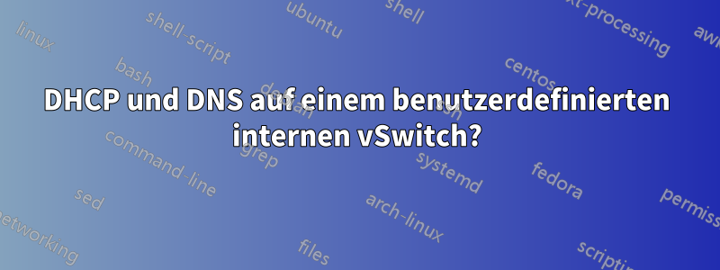 DHCP und DNS auf einem benutzerdefinierten internen vSwitch?