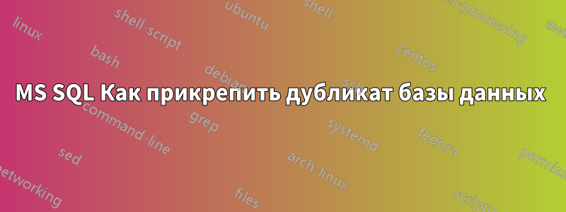 MS SQL Как прикрепить дубликат базы данных